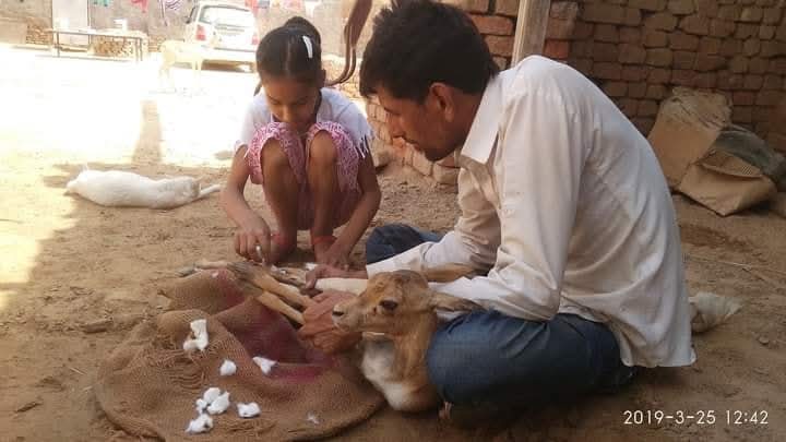 Child with blackbuck